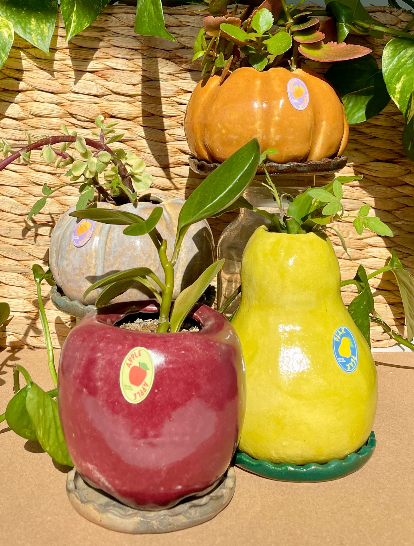 Apple Plant Pot