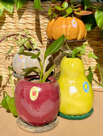 Apple Plant Pot