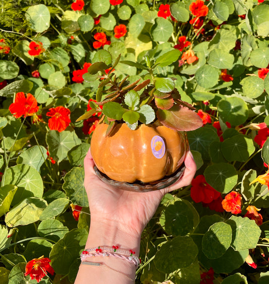 Pumpkin Planter Pot