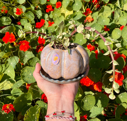 Pumpkin Planter Pot