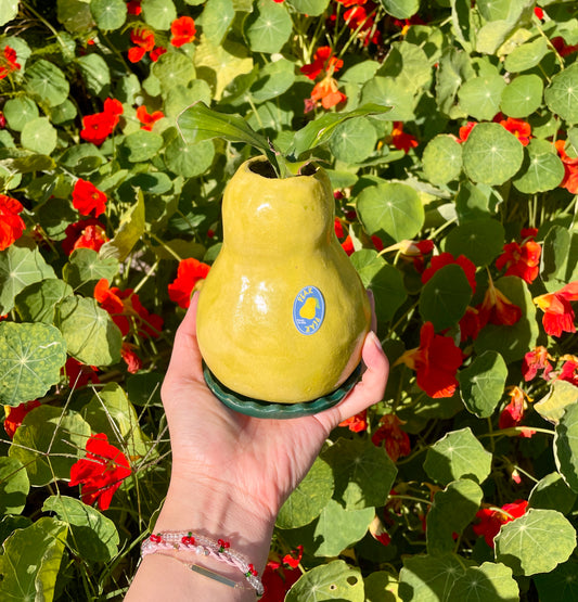 Pear Plant Pot